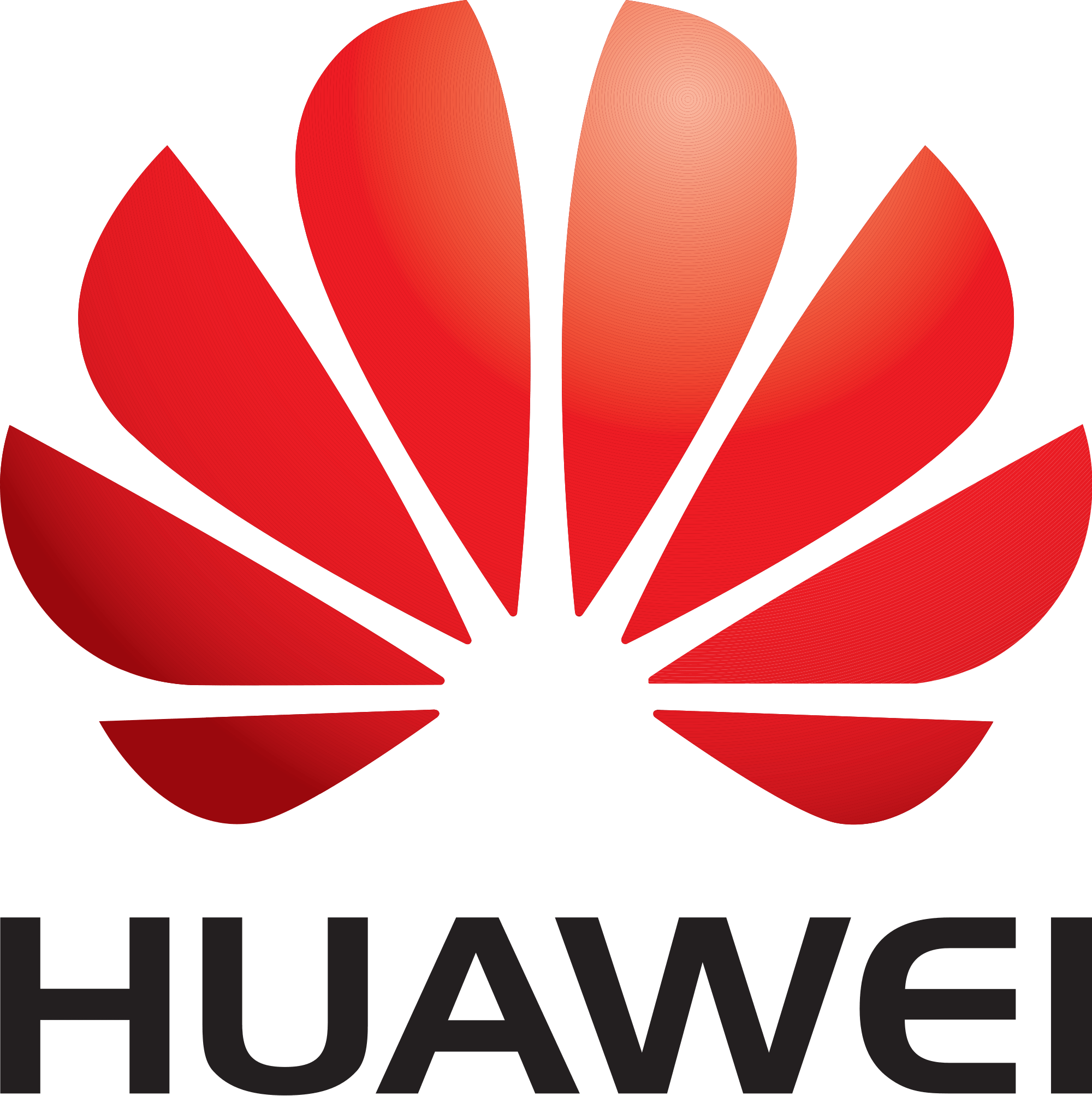 Huawei Noah's Ark