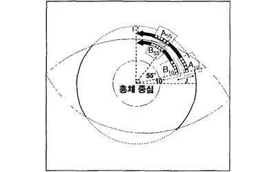 A Study on Eyelid Detection for Iris Recognition, Representative
