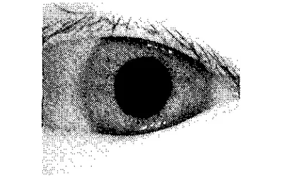 A Study on Eyelid Detection for Iris Recognition, Thumbnail