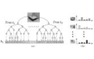 Complementary Feature-point-based Descriptors for 3D Object Recognition, Thumbnail