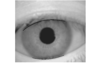 A Study on Eyelid Localization Considering Image Focus for Iris Recognition Thumbnail