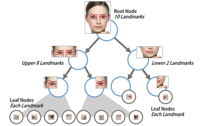 User-Independent Face Landmark Detection and Tracking for Spatial AR Interaction, Representative