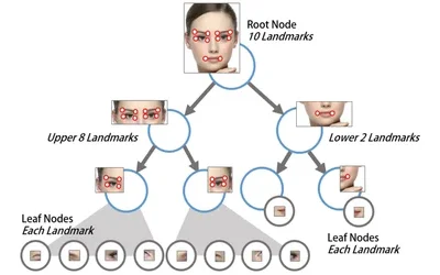 User-Independent Face Landmark Detection and Tracking for Spatial AR Interaction, Representative