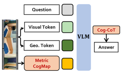 Map2Thought: Explicit 3D Spatial Reasoning via Metric Cognitive Maps Representative