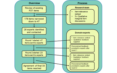 Preliminary psychometric scale development using the mixed methods Delphi technique, Representative