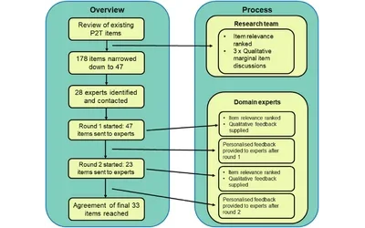 Preliminary psychometric scale development using the mixed methods Delphi technique, Representative