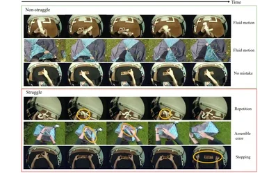 Are you Struggling? Dataset and Baselines for Struggle Determination in Assembly Videos, Representative